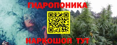 apvp Балашиха