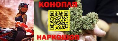 амф Донской