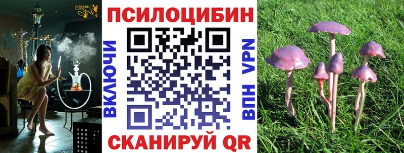 mega маркетплейс  Карпинск  Галлюциногенные грибы прущие грибы  где найти наркотики 