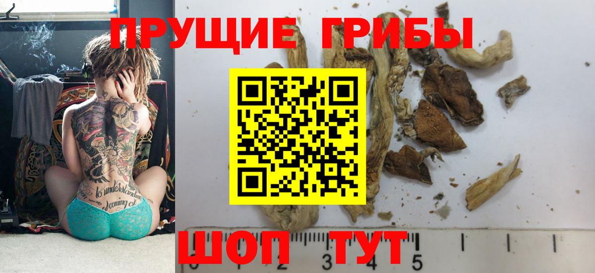 Псилоцибиновые грибы MAGIC MUSHROOMS Карпинск
