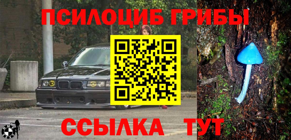 Карпинск  Псилоцибиновые грибы Psilocybe  Вход с VPN  Галлюциногенные грибы Cubensis 